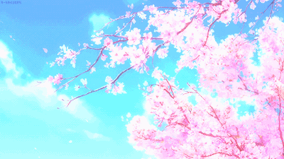 【飞机杯名器推荐评测论坛】maccos cockfit开箱评测